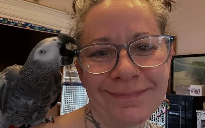 African Greys for Sale in Maryland
