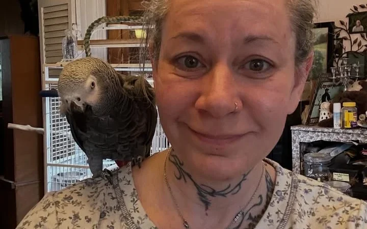 African Greys for Sale in Idaho